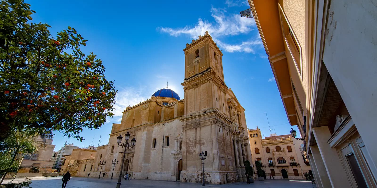 product-banner-Alicante-Elche