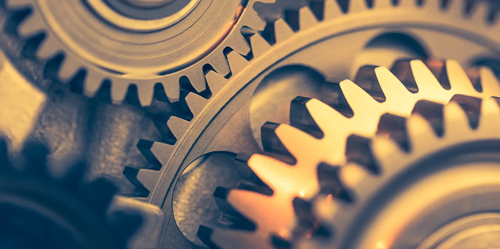 product-banner-Due-Diligence 2